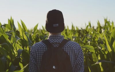 Ejemplo Memoria Covid 19